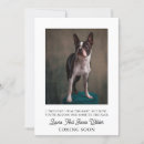 Recherche de funny pregnancy Mignon