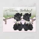 Recherche de terrier invitations Chiens