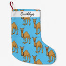 Recherche de mammifère chaussette de noël Animal