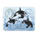 Recherche de orque magnets Aquarelle