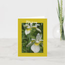 Recherche de iris blanc Anniversaire