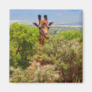Recherche de girafe adorable magnets Safari