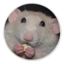 Recherche de abruti Mignon