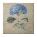 Recherche de hortensias bleus carreaux Pour elle
