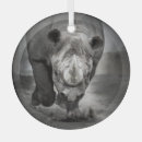Recherche de rhinocéros ornements Blanc