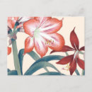 Recherche de lys cartes postales Japon