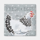 Recherche de poulet coq magnets Fermes