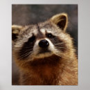 Recherche de fureur art Curieux