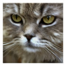 Recherche de peinture de chat art Animal de compagnie