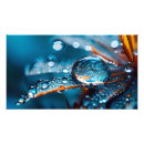 Recherche de rose macro posters Floral
