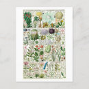 Recherche de végétal cartes postales Floral