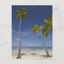 Recherche de wall verticales cartes postales Vacances