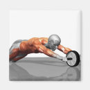 Recherche de muscle humain magnets Petite entreprise