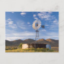 Recherche de gallo cartes postales Herbe