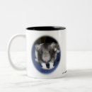 Recherche de rats tasses Animal familier