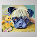 Recherche de pug dog Puppy