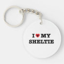 Recherche de shelties Dogs