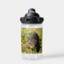 Recherche de lézard mugs bouteilles Reptile