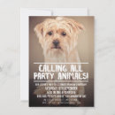 Recherche de chien 11x16 invitations Fête des chiens