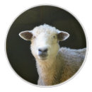 Recherche de mouton boutons et poignées de porte Ferme