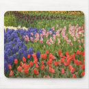 Recherche de lisse tapis souris Voyage
