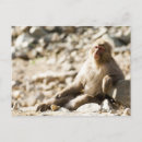 Recherche de préfecture cartes postales Asie