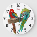 Recherche de perroquets rouges horloges Coloré