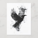 Recherche de illustration de plume cartes postales Oiseau