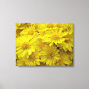 Recherche de chrysanthème art Nature
