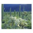Recherche de saguaro posters Pittoresque