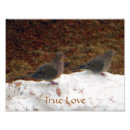 Recherche de occasions posters Animaux