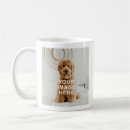 Recherche de deux chats tasses Pour tous