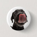 Recherche de lâche badges Animal