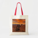 Recherche de dunes sable sacs Nature