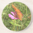Recherche de zinnia dessous de verres Nature