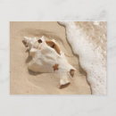 Recherche de grand turk cartes postales Sable