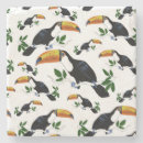 Recherche de toucans dessous de verres Pour tous