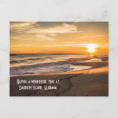 Recherche de photo de dauphin cartes postales Plage