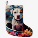 Recherche de pitbull chaussette de noël Pour tous
