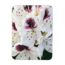 Recherche de rhododendron magnets Printemps