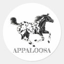 Recherche de appaloosas autocollants Pour tous