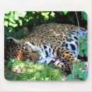 Recherche de jaguar tapis souris Chat