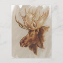 Recherche de occidentales cartes postales Animal