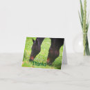 Recherche de amis de cheval vœux cartes Pour tous