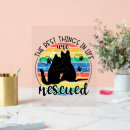 Recherche de animaux secourus posters Amoureux des chiens