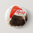 Recherche de carlins badges Joyeux noël