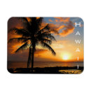 Recherche de hawaïen magnets Hawaii