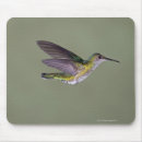 Recherche de grand observé tapis souris Voyage