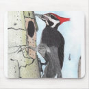 Recherche de oiseau chanson tapis souris Nature