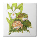 Recherche de grenouille carreaux Dessin